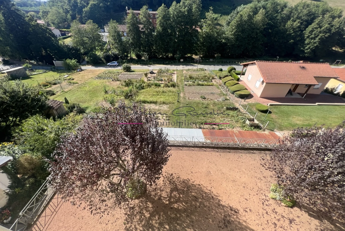 Appartement avec balcon, cave, grenier et parcelle de terrain 