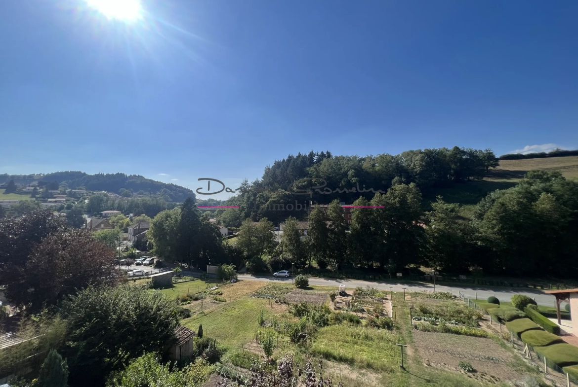 Appartement avec balcon, cave, grenier et parcelle de terrain 