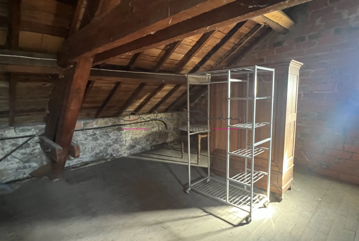 Appartement avec balcon, cave, grenier et parcelle de terrain 