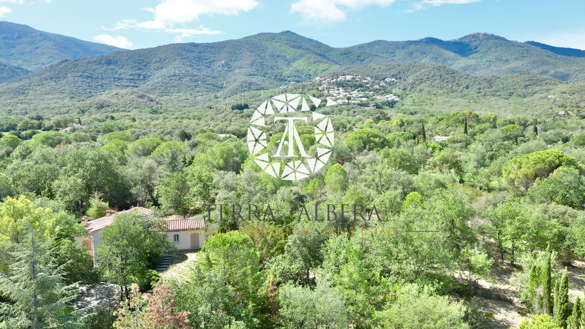 Beau terrain constructible avec vue sur les Albères à Laroque des Albères 