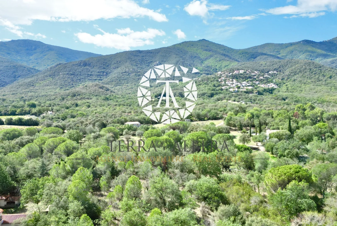 Beau terrain constructible avec vue sur les Albères à Laroque des Albères 