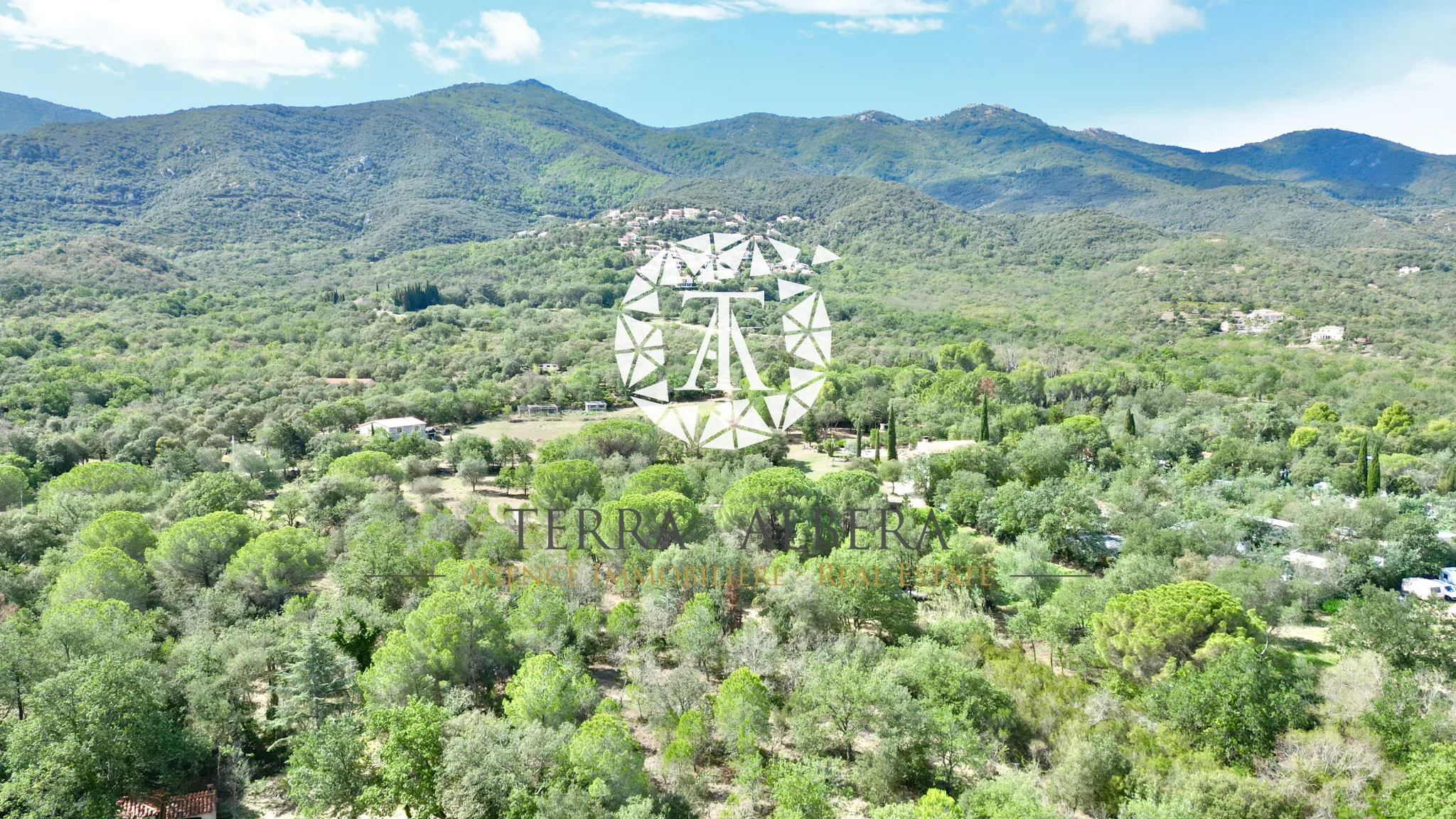 Beau terrain constructible avec vue sur les Albères à Laroque des Albères 