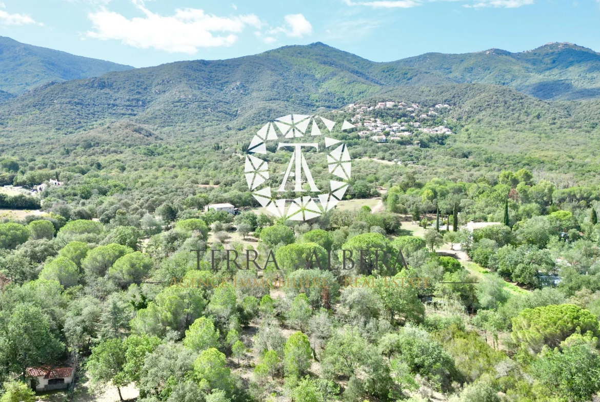 Beau terrain constructible avec vue sur les Albères à Laroque des Albères 