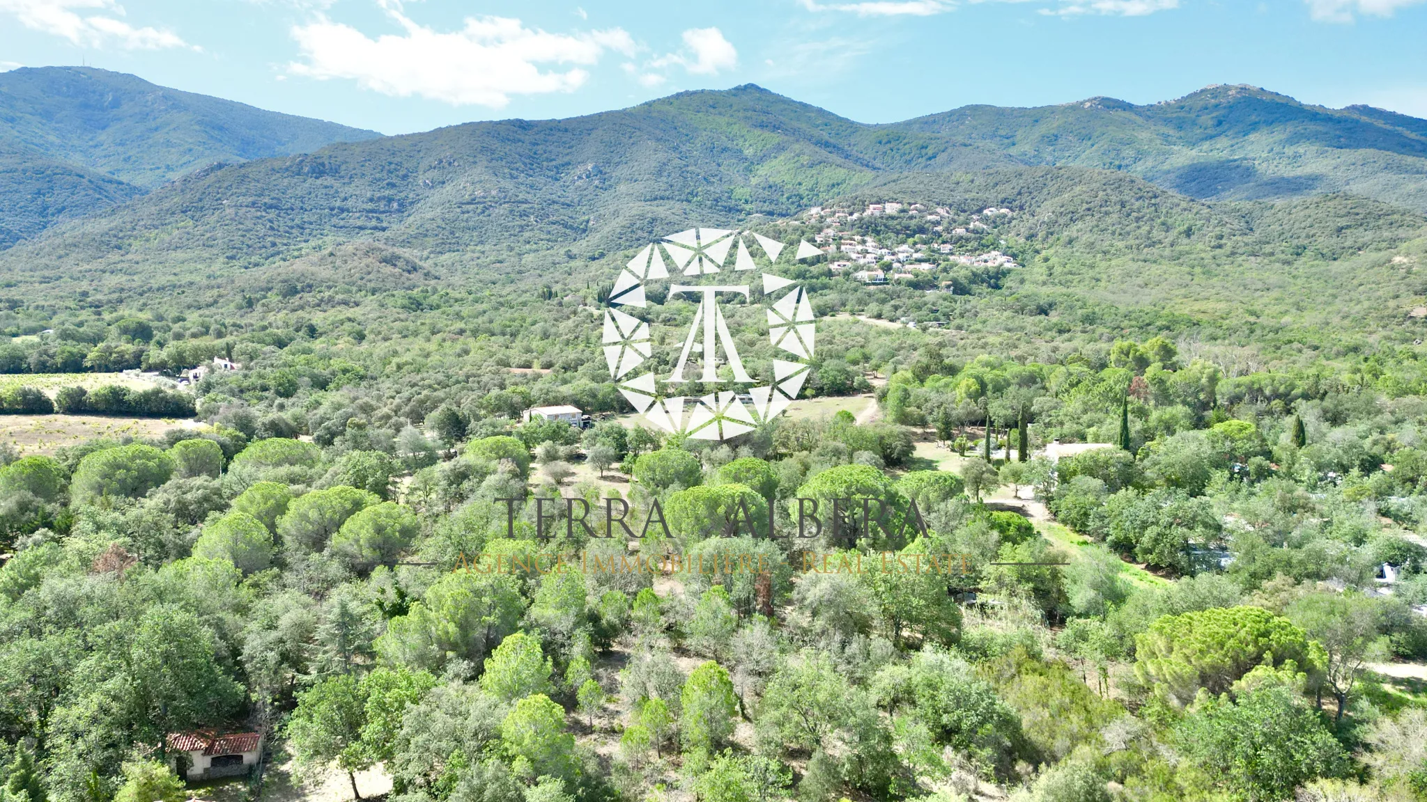 Beau terrain constructible avec vue sur les Albères à Laroque des Albères 