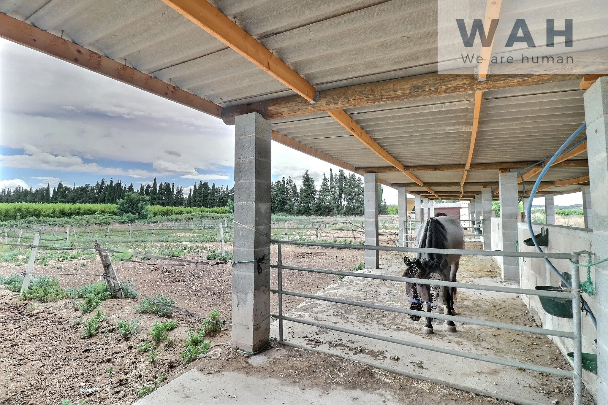 Terrain agricole de 2500m2 équipé pour les chevaux à Aubord 