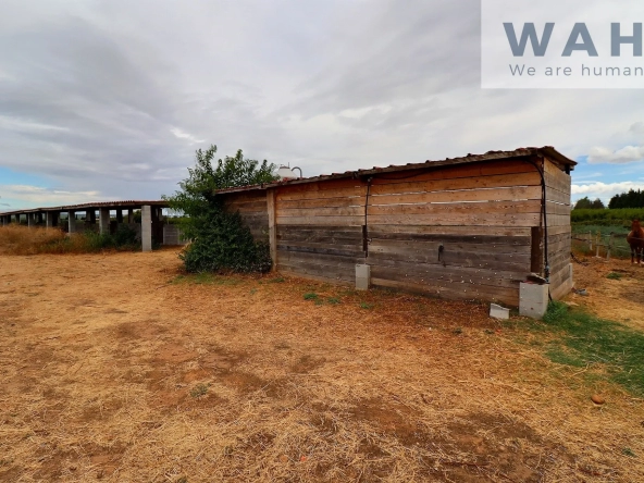 Terrain agricole de 2500m2 équipé pour les chevaux à Aubord