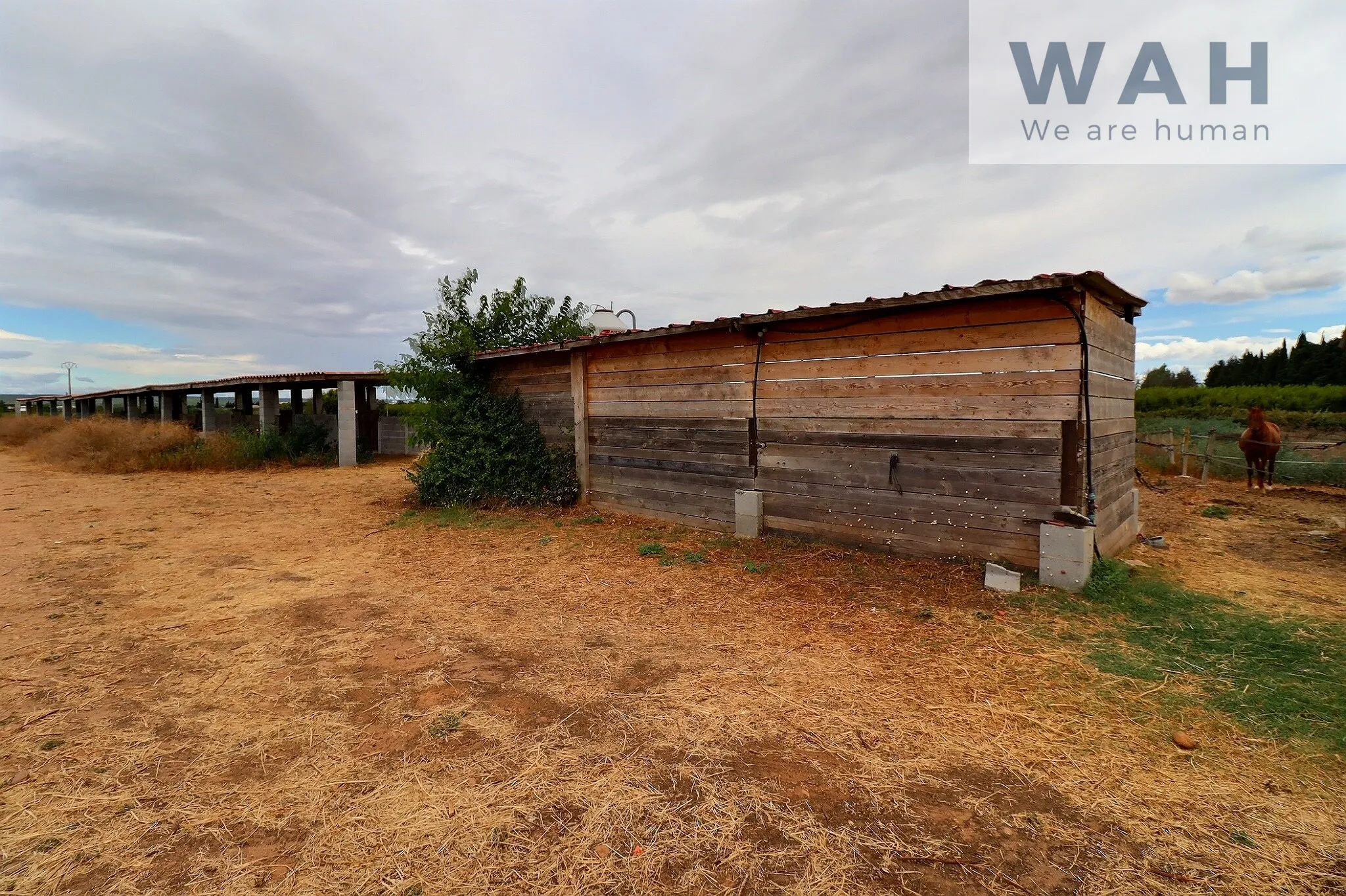 Terrain agricole de 2500m2 équipé pour les chevaux à Aubord 