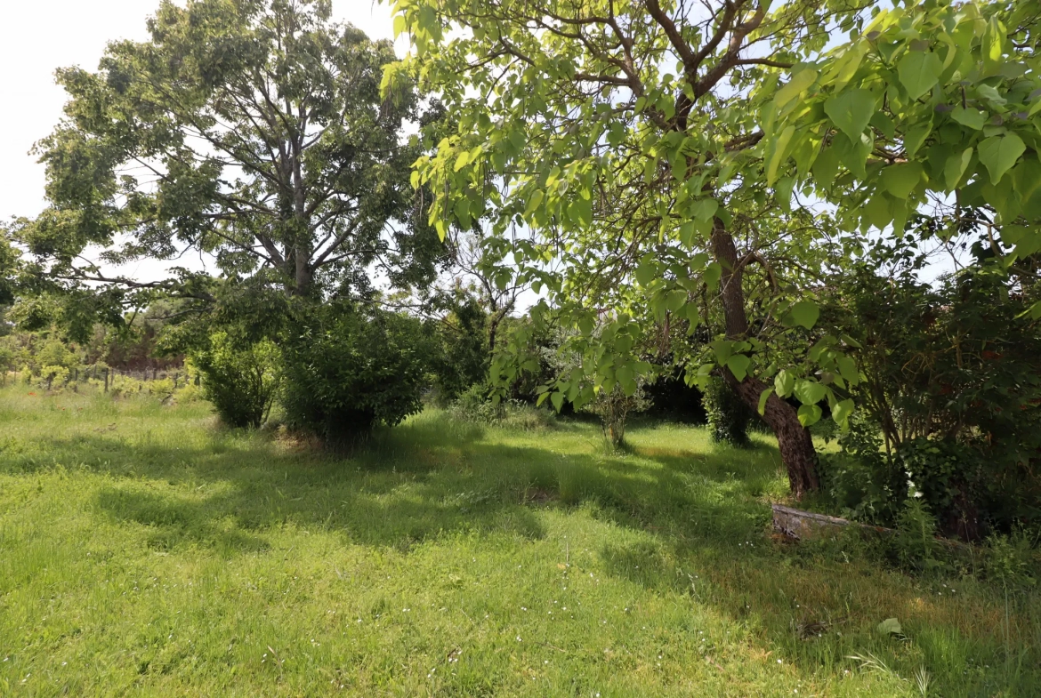 Ferme Charentaise 9 pièces avec nombreuses dépendances, jardin arboré 