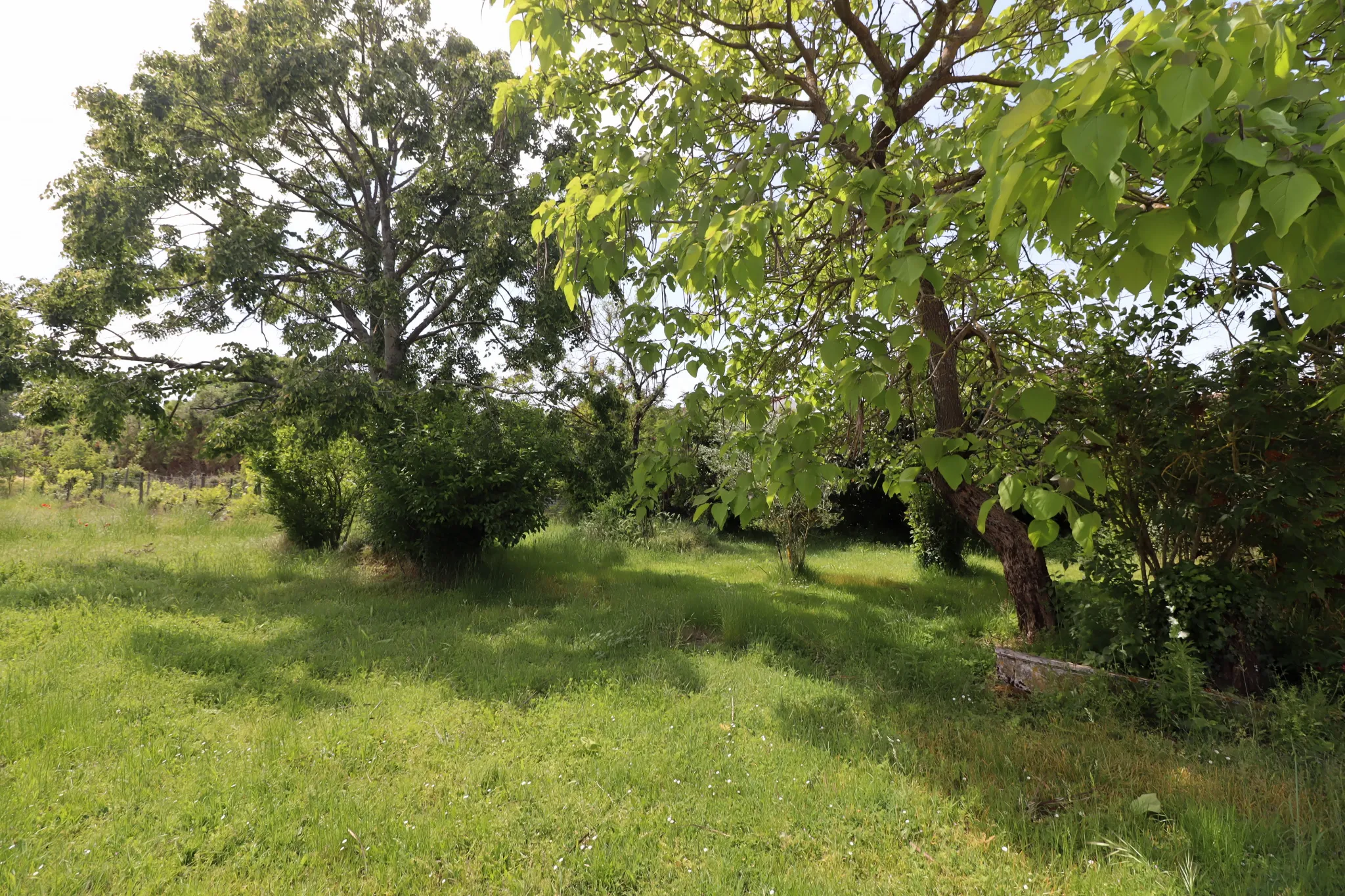 Ferme Charentaise 9 pièces avec nombreuses dépendances, jardin arboré 