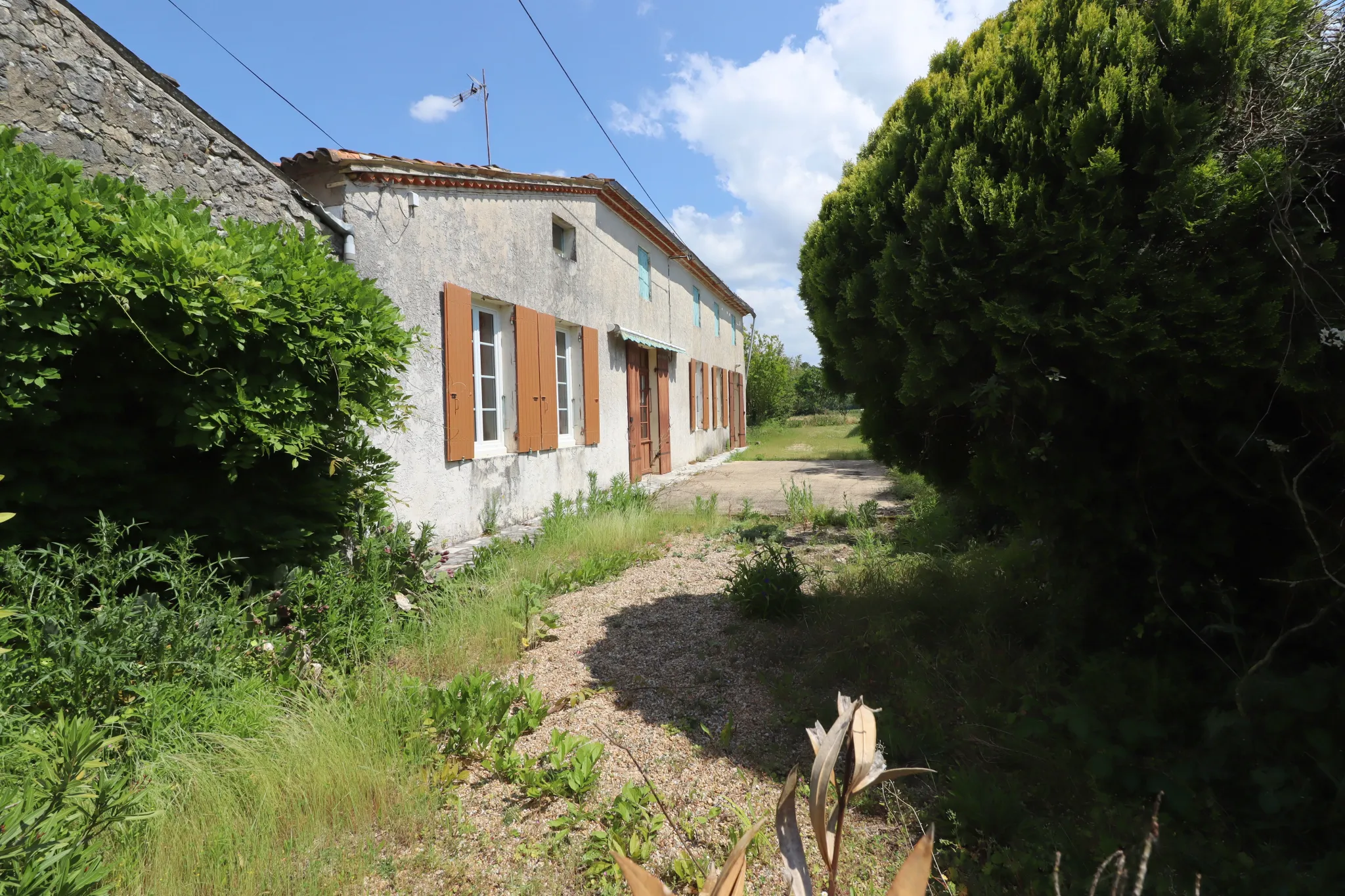 Ferme Charentaise 9 pièces avec nombreuses dépendances, jardin arboré 