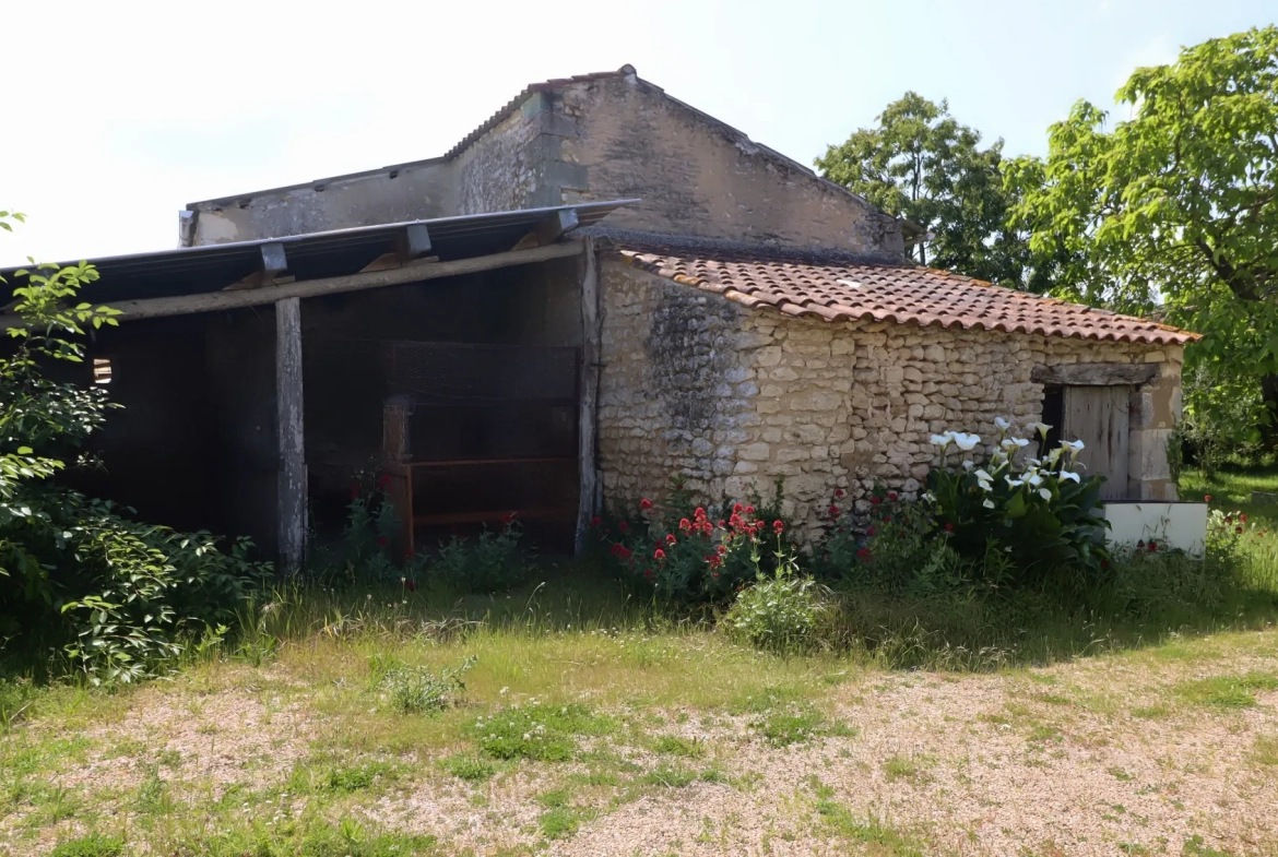 Ferme Charentaise 9 pièces avec nombreuses dépendances, jardin arboré 