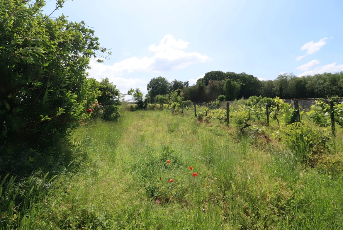 Ferme Charentaise 9 pièces avec nombreuses dépendances, jardin arboré 