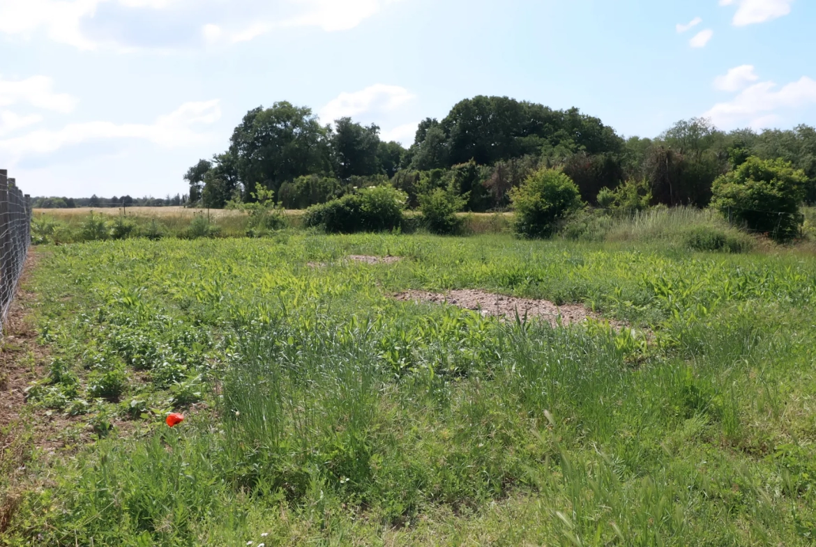 Ferme Charentaise 9 pièces avec nombreuses dépendances, jardin arboré 