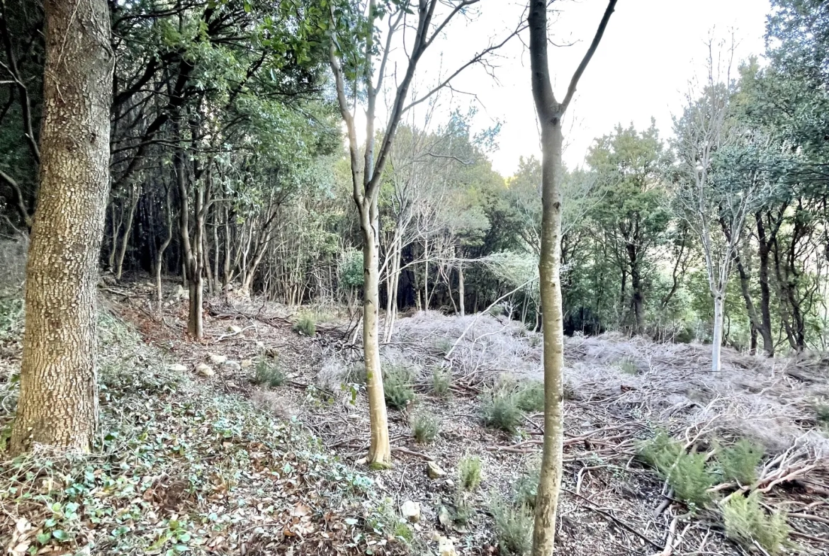 Terrain constructible avec permis accordé au cœur du Cap Corse, à Sisco 