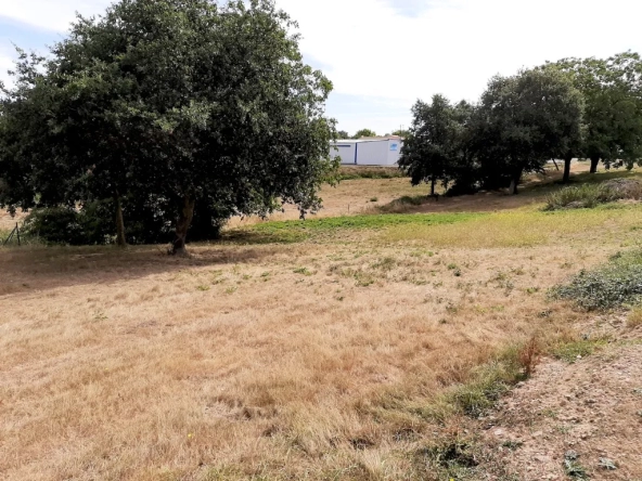 Terrain à bâtir Saint Hilaire du Bois - 1200 m2