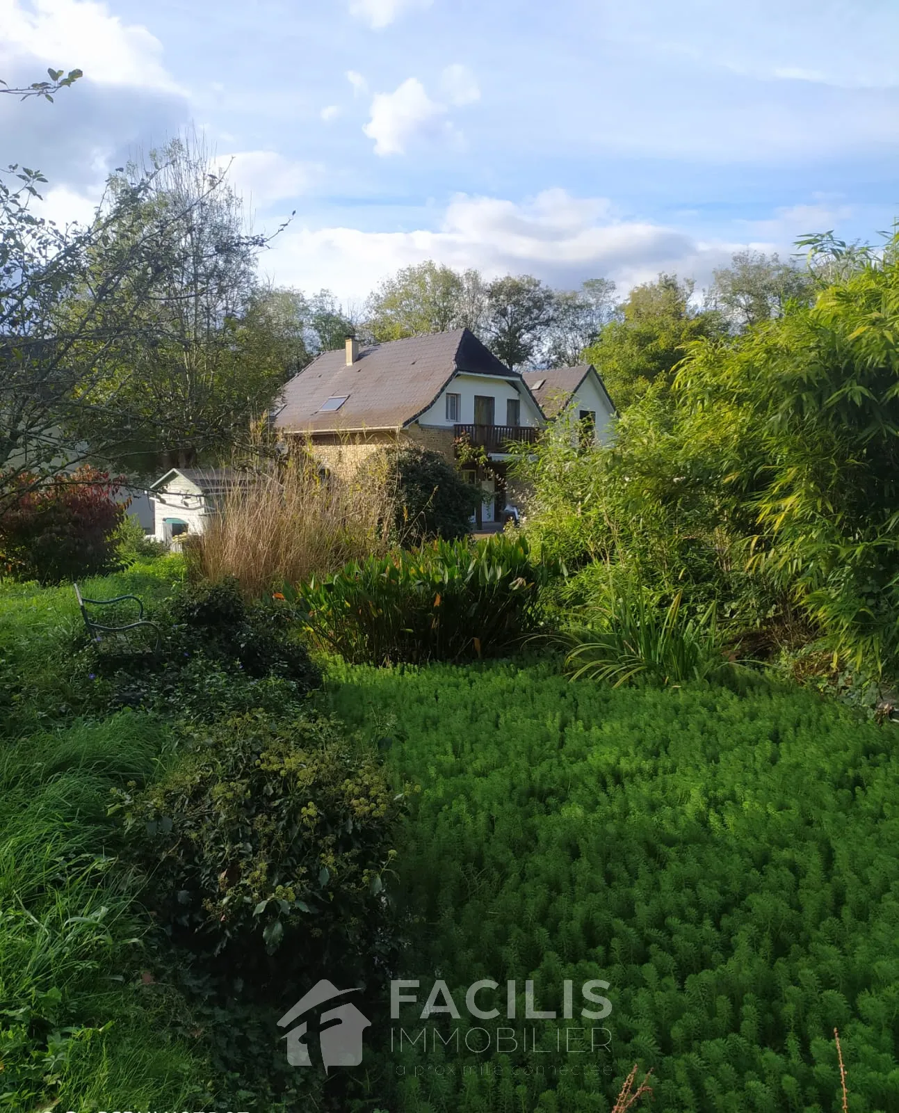 Maison en pierres avec 1,6 hectares de terrain 