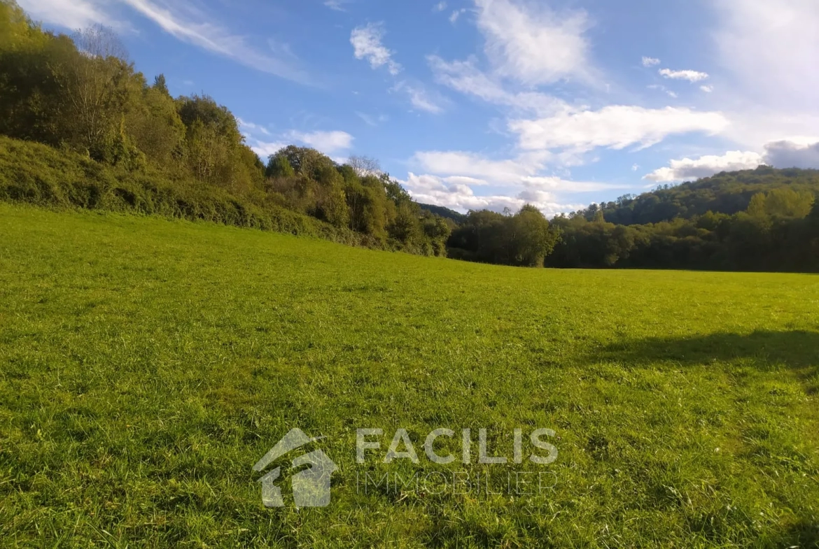 Maison en pierres avec 1,6 hectares de terrain 