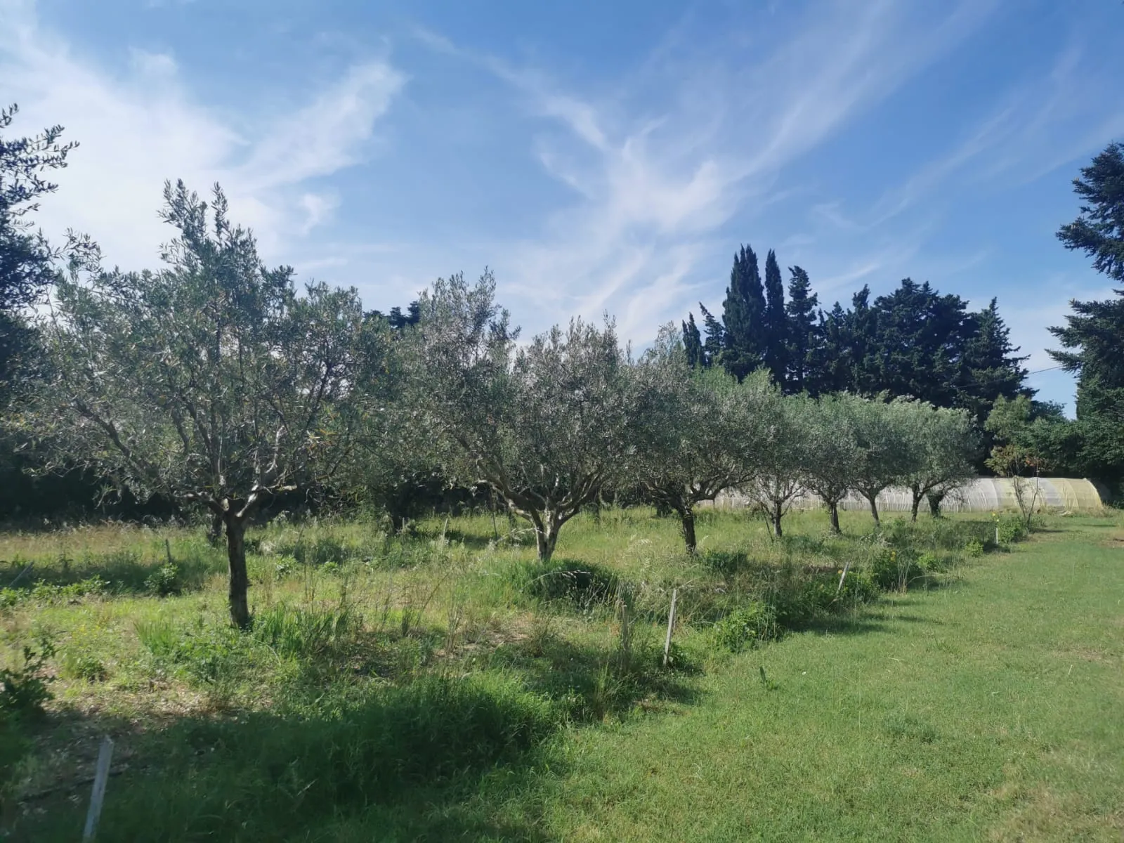 Terrain à bâtir de 757m2 dans un quartier prisé de VALRÉAS ! 