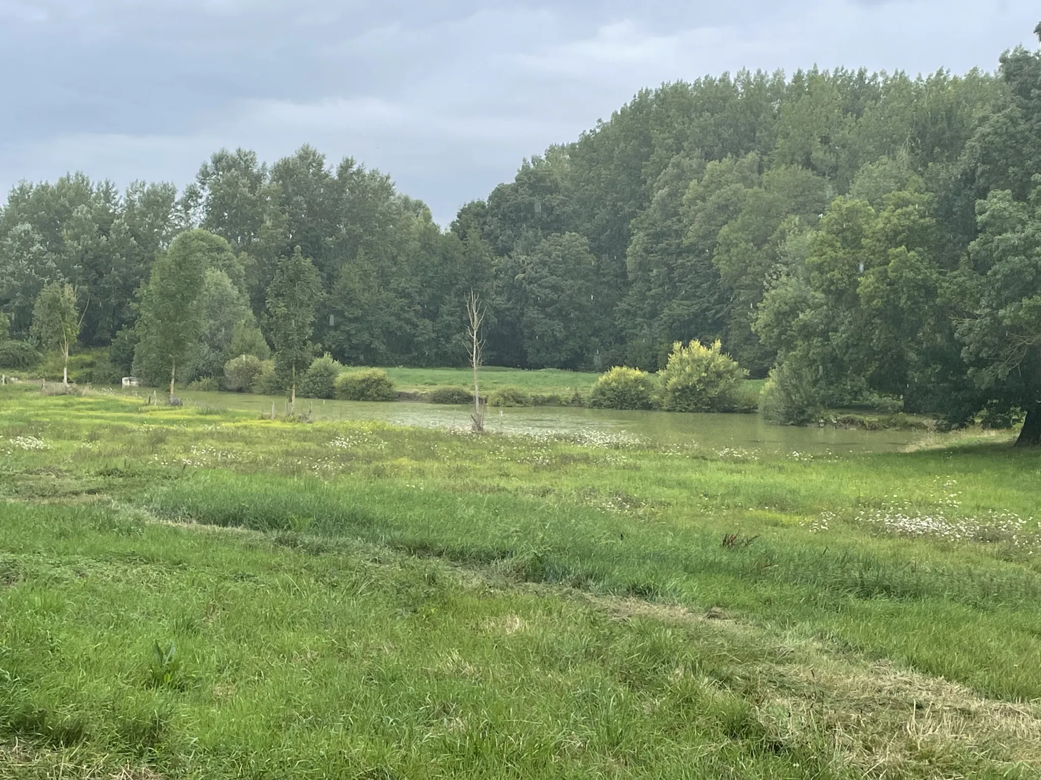 Longère Tourangelle de 163m2 à Villiers-au-Bouin 