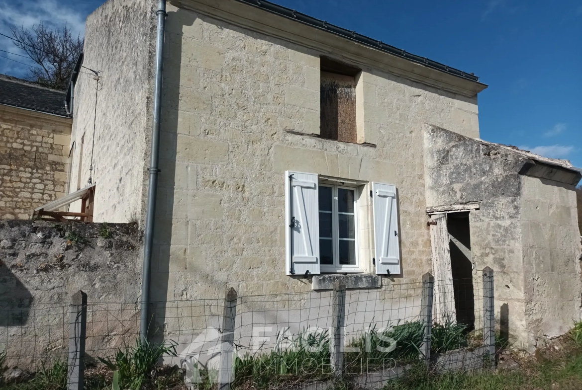 Ensemble de deux maisons à rénover avec dépendances troglodytiques à Chinon 