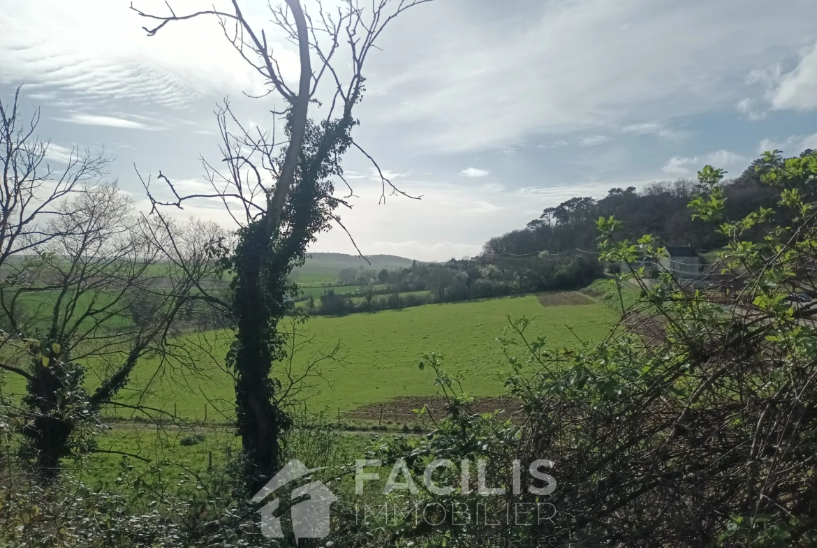 Ensemble de deux maisons à rénover avec dépendances troglodytiques à Chinon 