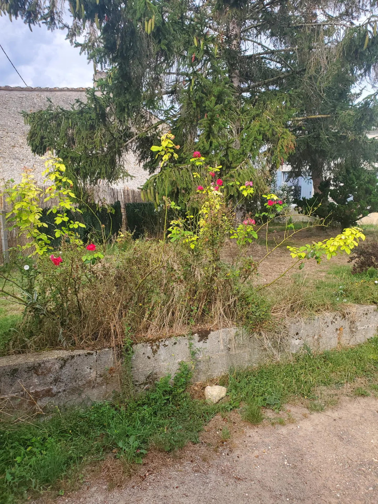 Maison de village charentaise à Meursac, Charente-Maritime 