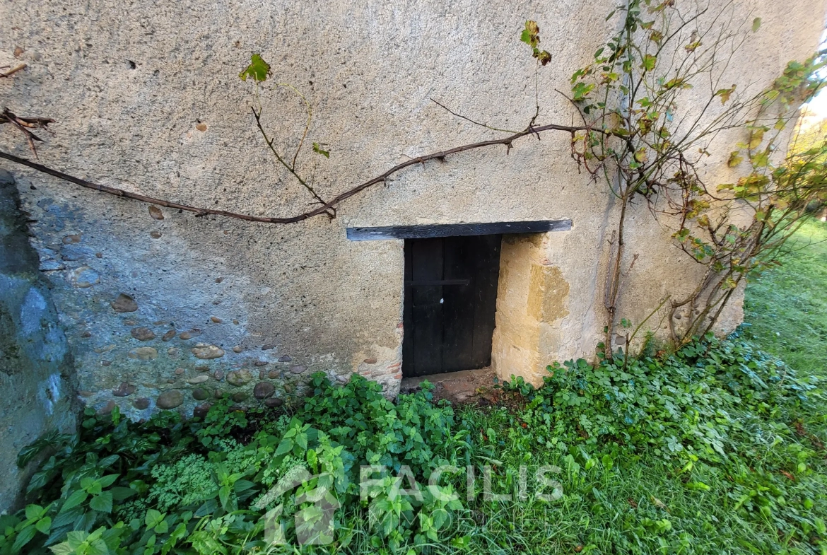 Charmante demeure en pierre à Maubourguet 