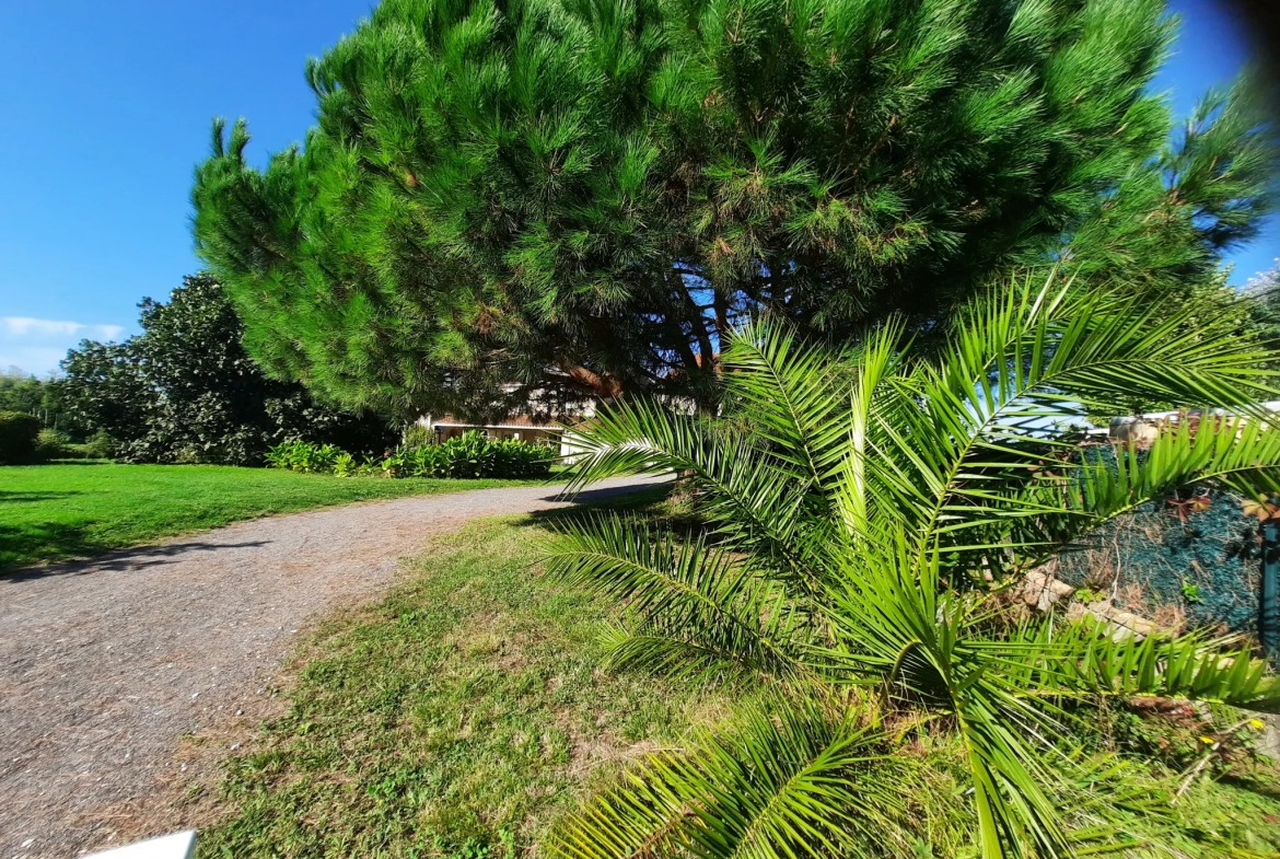 Maison Charentaise à Epargnes, Proche Cozes - 3 chambres - Grand jardin 