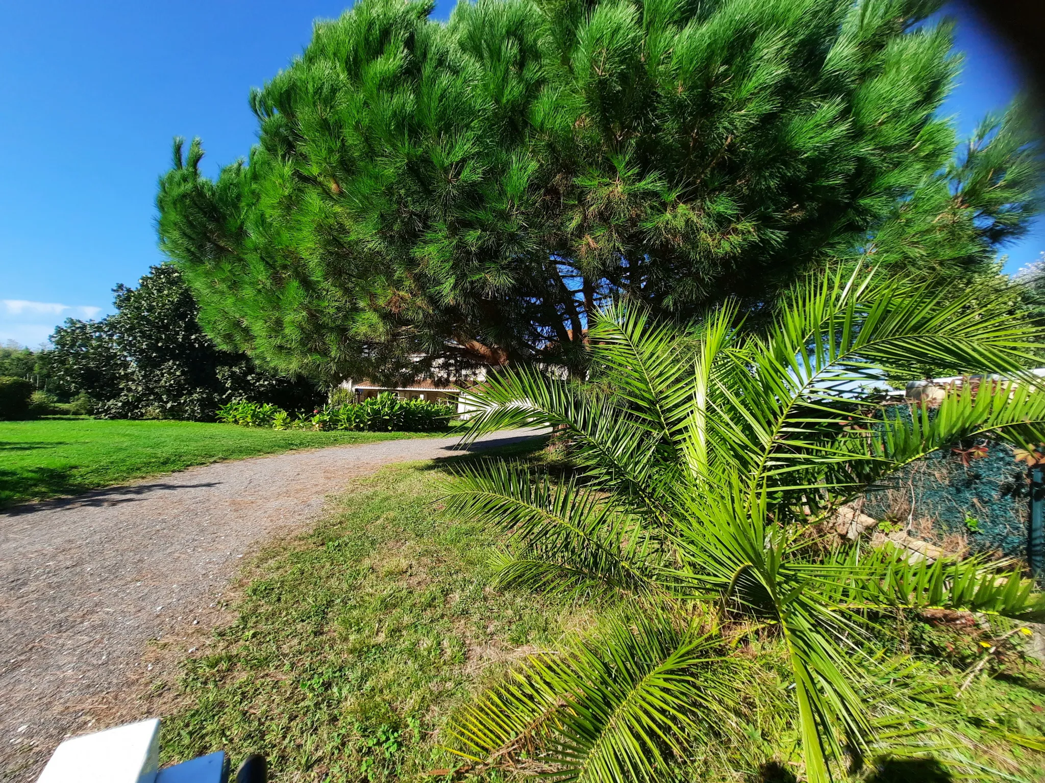 Maison Charentaise à Epargnes, Proche Cozes - 3 chambres - Grand jardin 