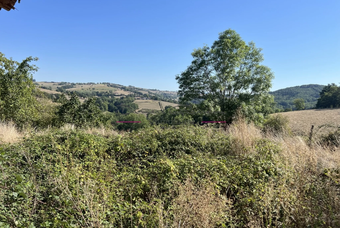 Maison avec dépendance et terrain à Bourg de Thizy 