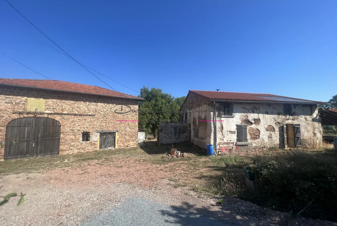 Maison avec dépendance et terrain à Bourg de Thizy 