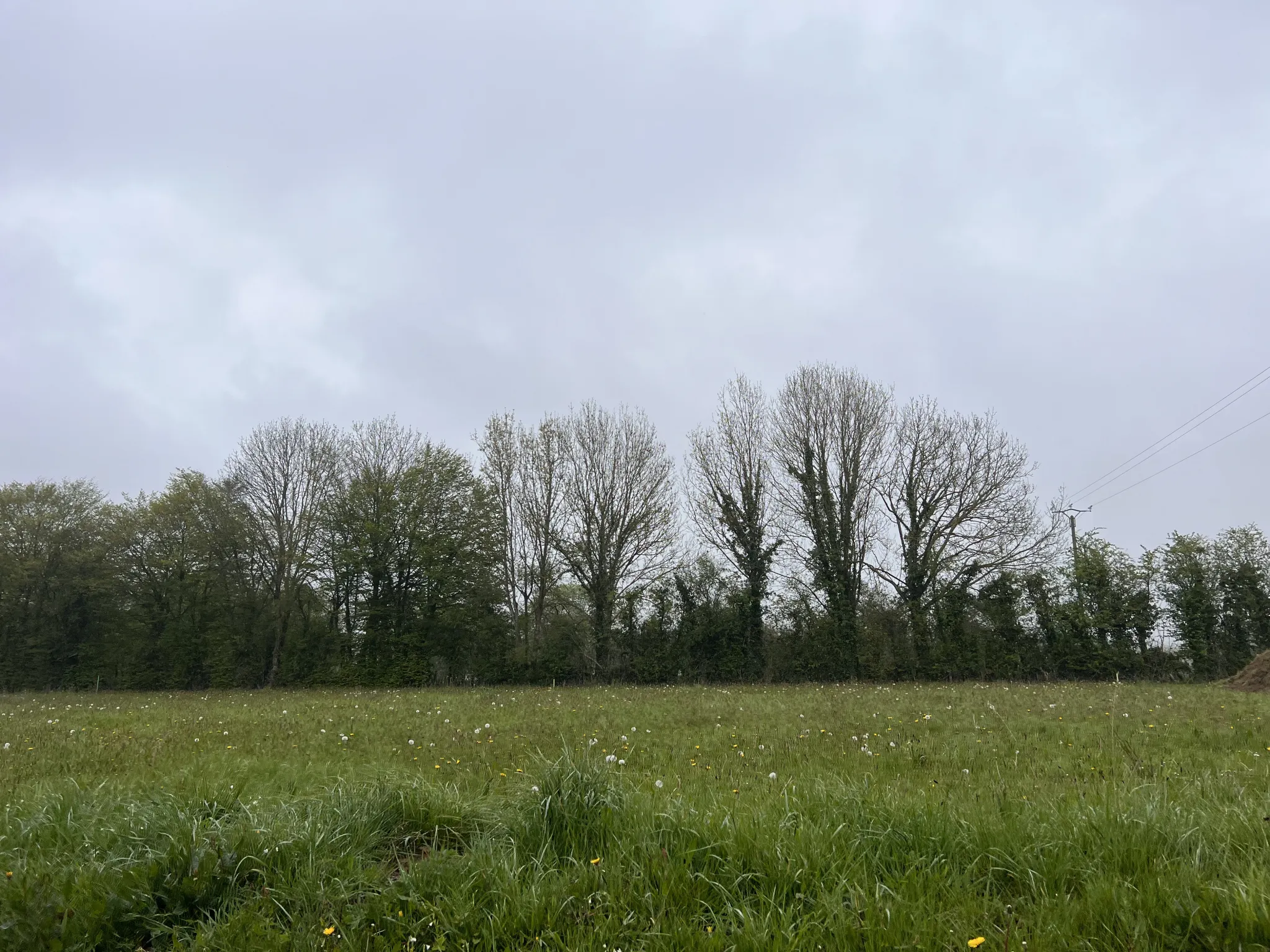 Terrain à bâtir de 865 m2 à Souleuvre en Bocage 