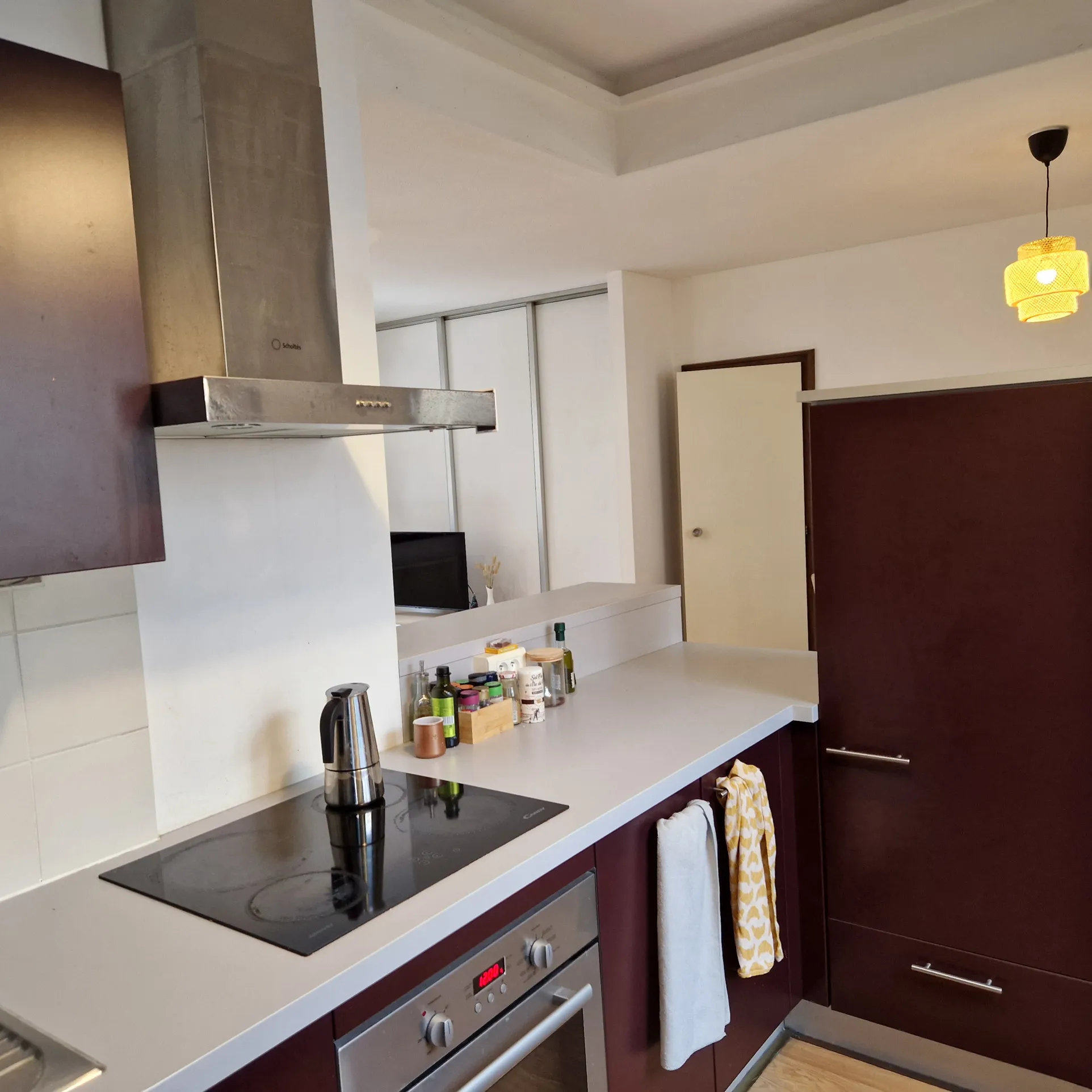 Lumineux 2-3 pièces 62 m2 à vendre - Strasbourg - Prox. Place Brant - Jardin Botanique 