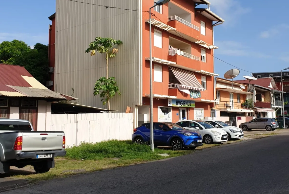 Appartement T2 avec terrasse à Cayenne 