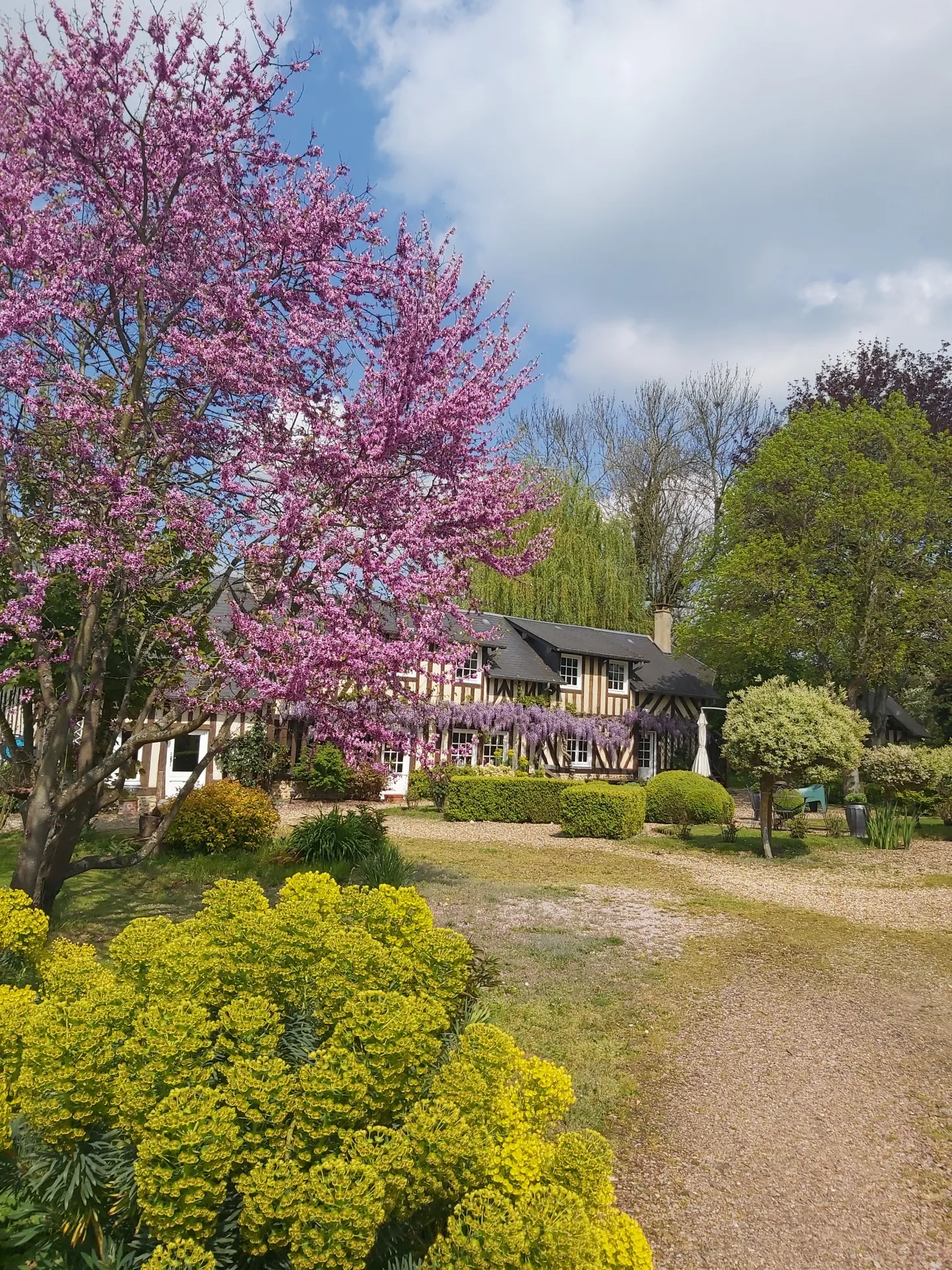 Longère Normande avec piscine à Livarot 