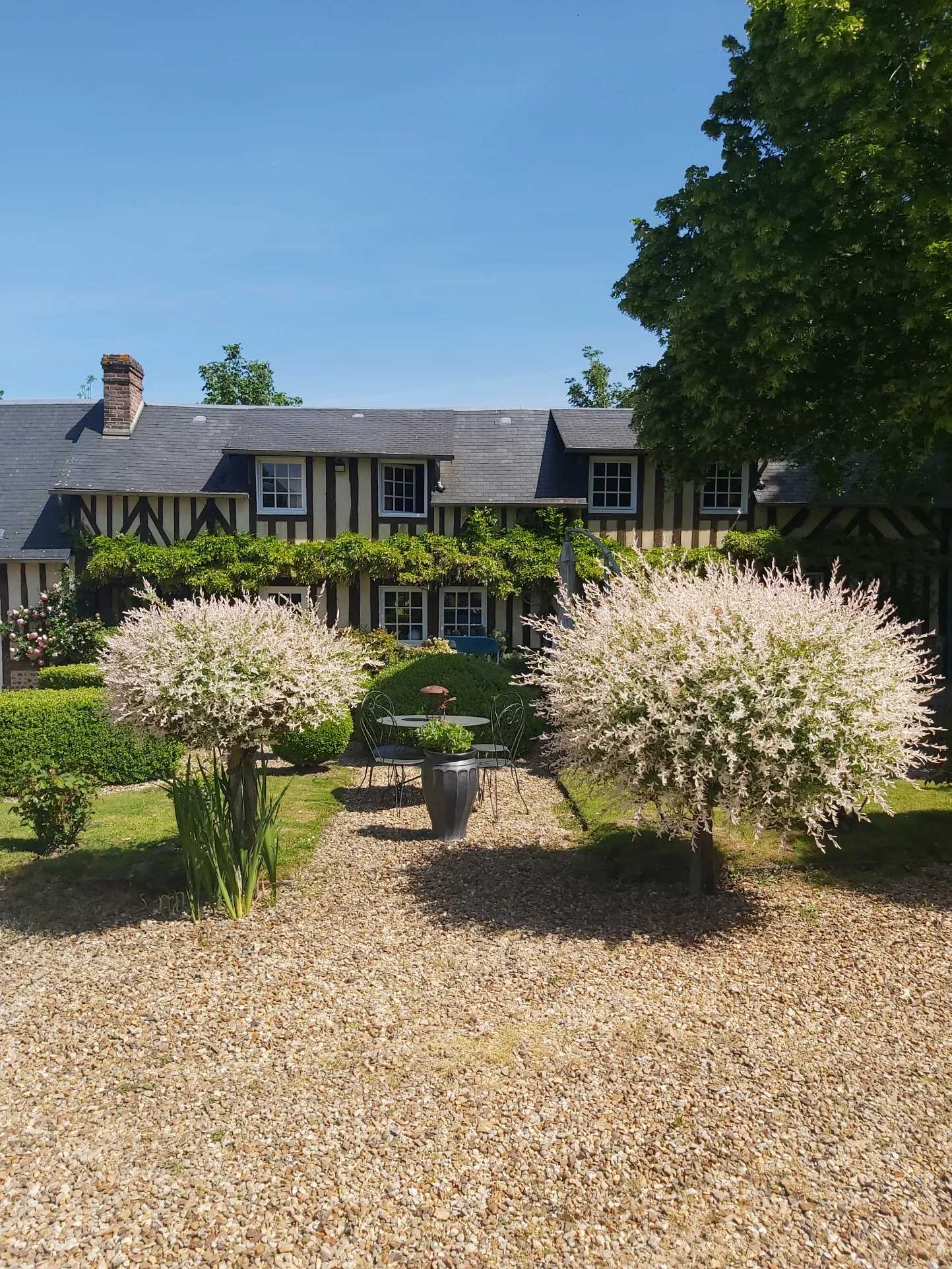 Longère Normande avec piscine à Livarot 