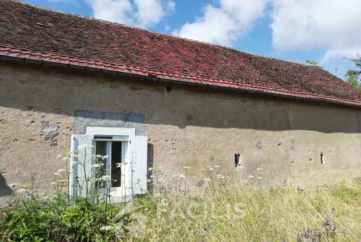 Longère type F2 avec grange attenante et 500 m2 de terrain à La Guerche sur l'Aubois 