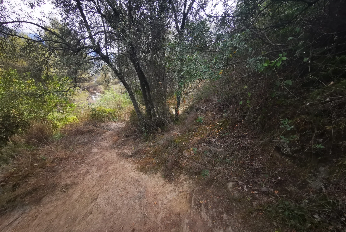 Contes - Sclos de Contes - Terrain de loisirs 