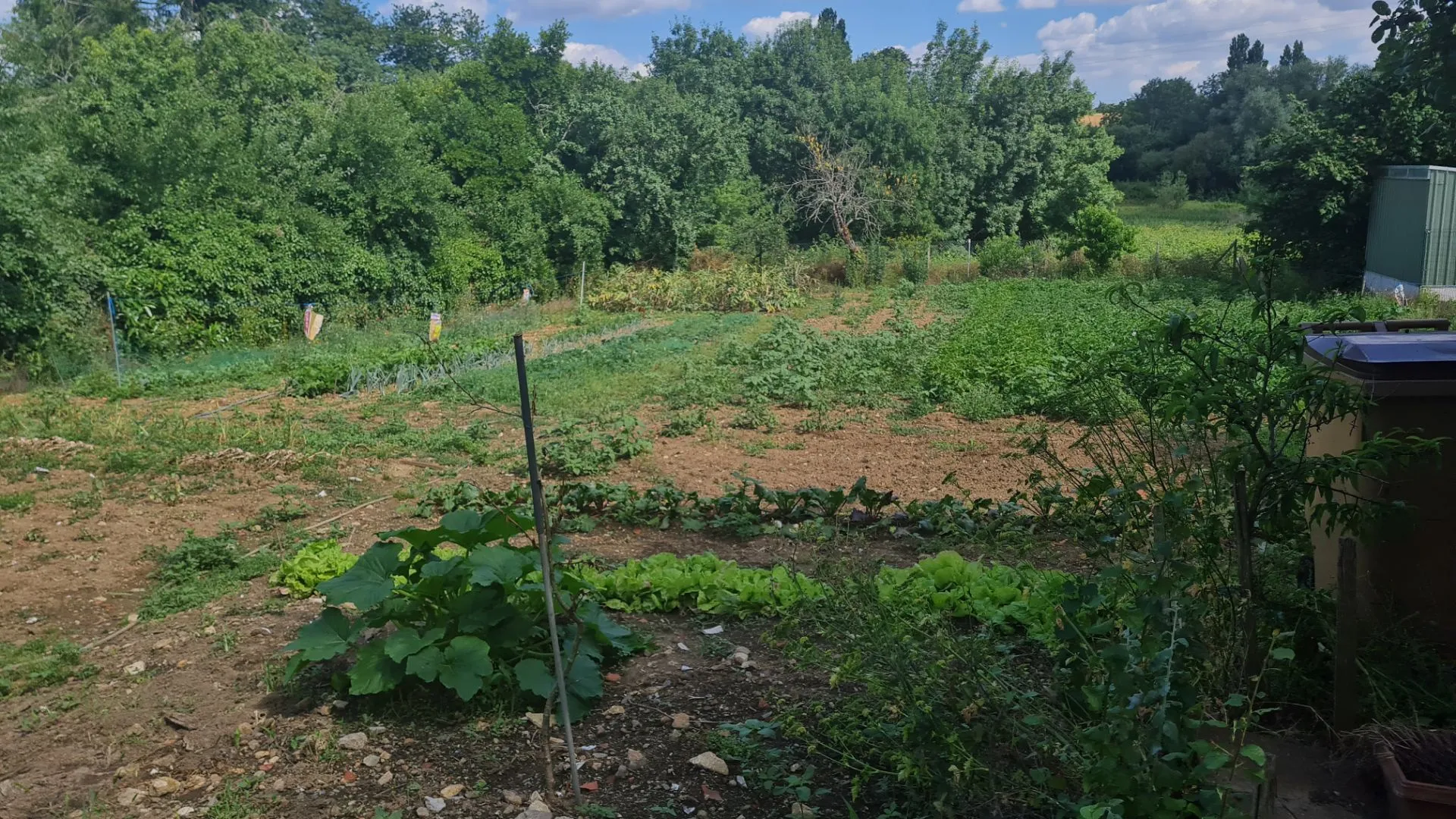 Maison Familiale à Sainte-Hermine avec Potentiel d'Agrandissement 