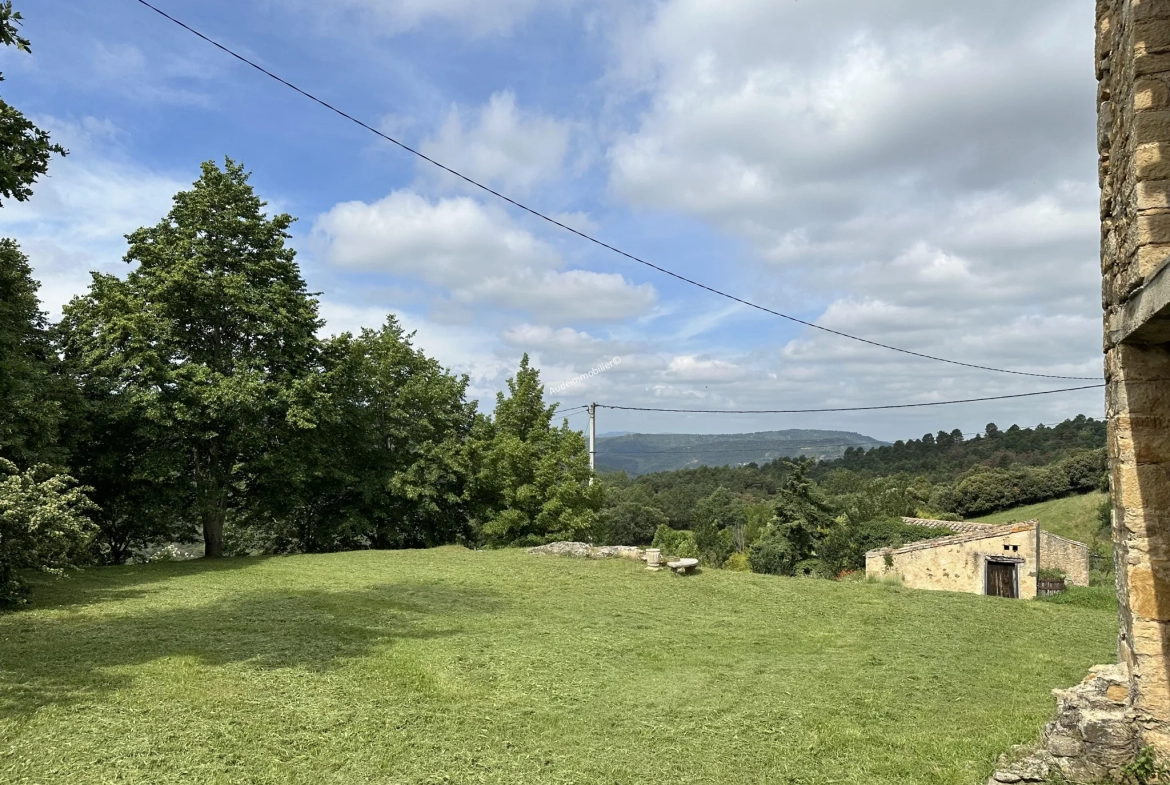 Ensemble immobilier à Alet les bains avec piscine et jardin 