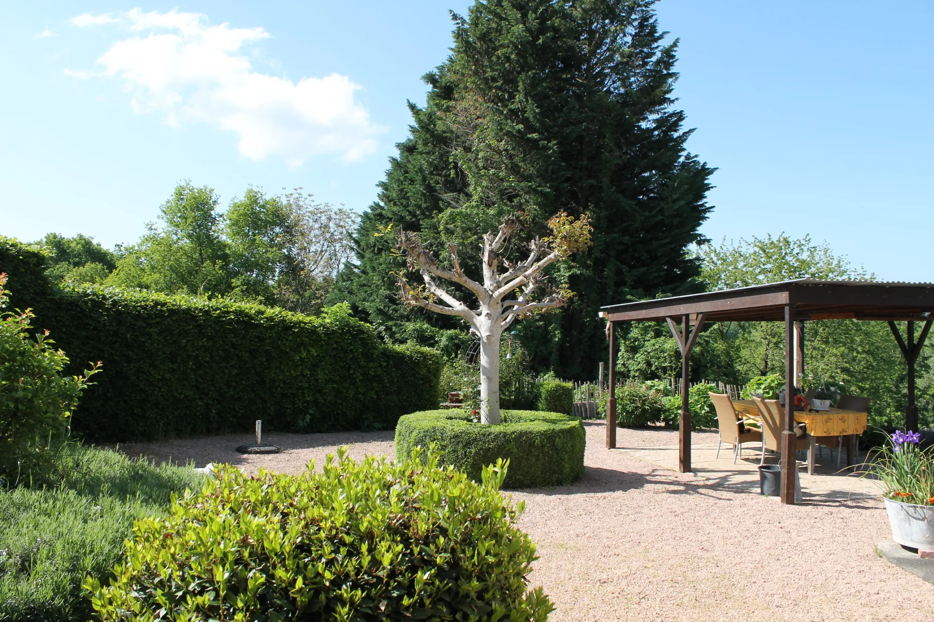 Maison de campagne avec gîte et grande grange sur +/- 3200 m2 de terrain à Echassieres 