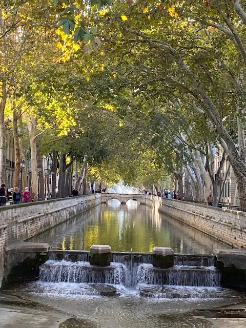 Appartement T2 à vendre à Nîmes - Quai de la Fontaine 