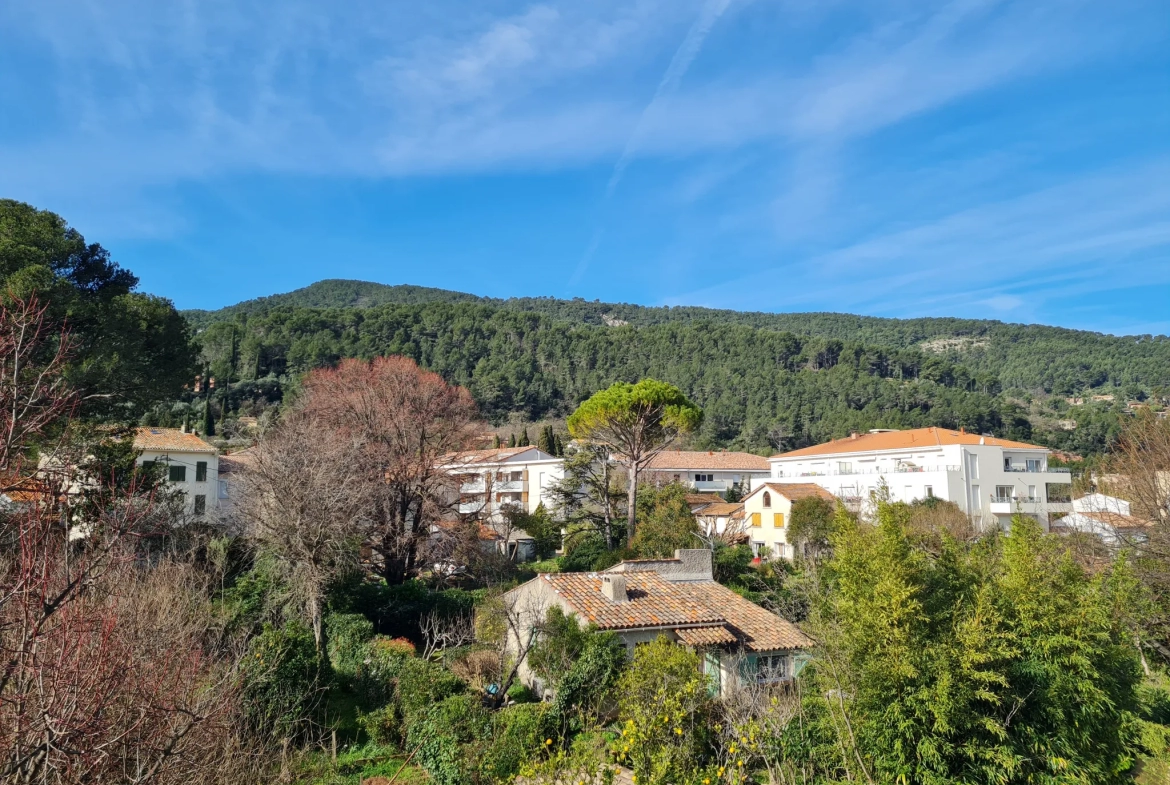 Appartement 1 chambre avec terrasse à Sollies-Pont 