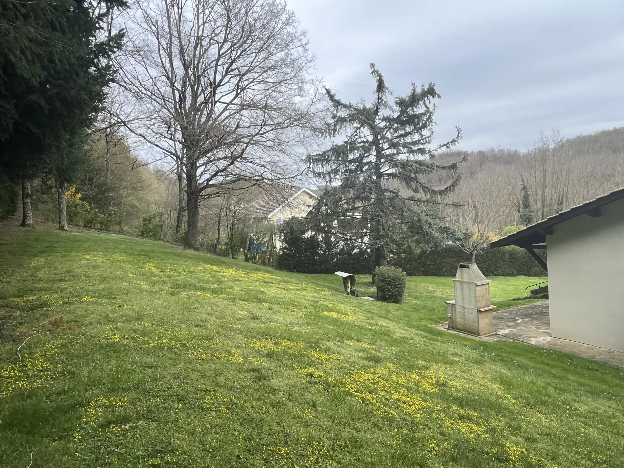 Grande maison sur terrain arboré à Meyssiez 