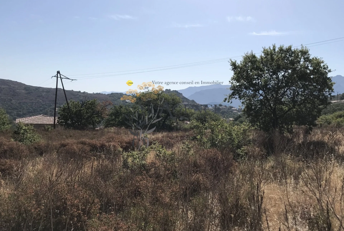 Terrain de 2052m2 à CATERI avec vue montagne et golf de Corbara 