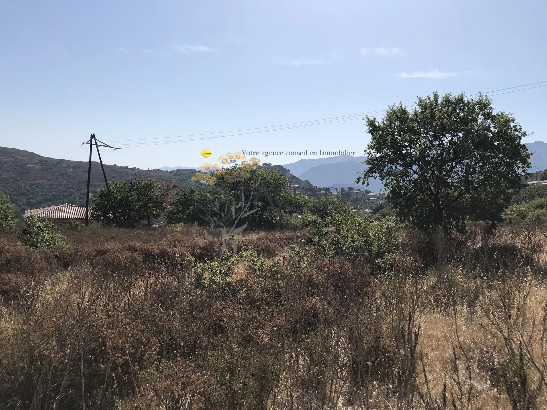 Terrain de 2052m2 à CATERI avec vue montagne et golf de Corbara 