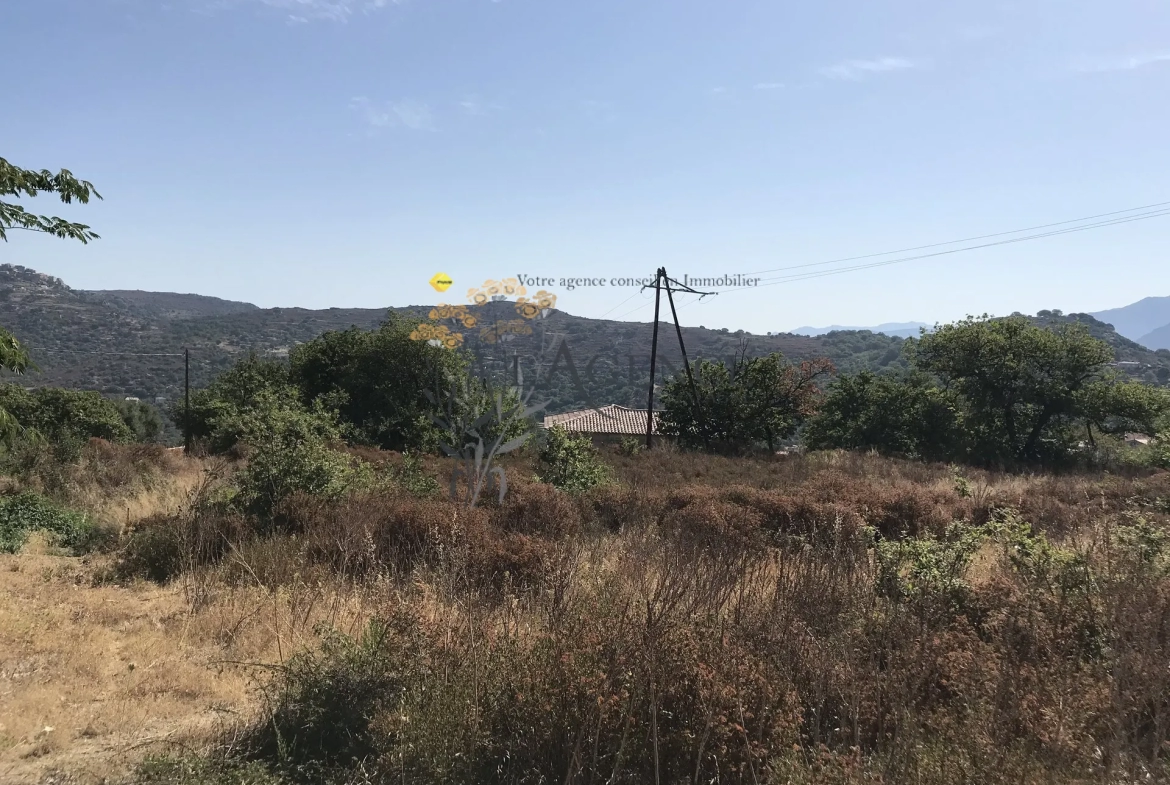 Terrain de 2052m2 à CATERI avec vue montagne et golf de Corbara 