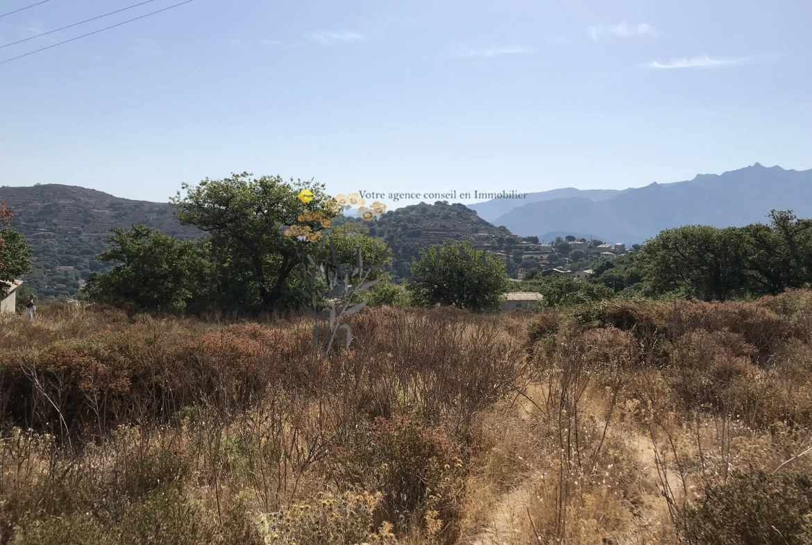 Terrain de 2052m2 à CATERI avec vue montagne et golf de Corbara 