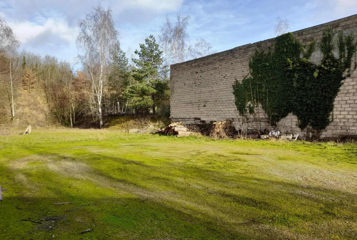 Hangar de 300 m2 et maison de village à Villeneuve la Guyard 