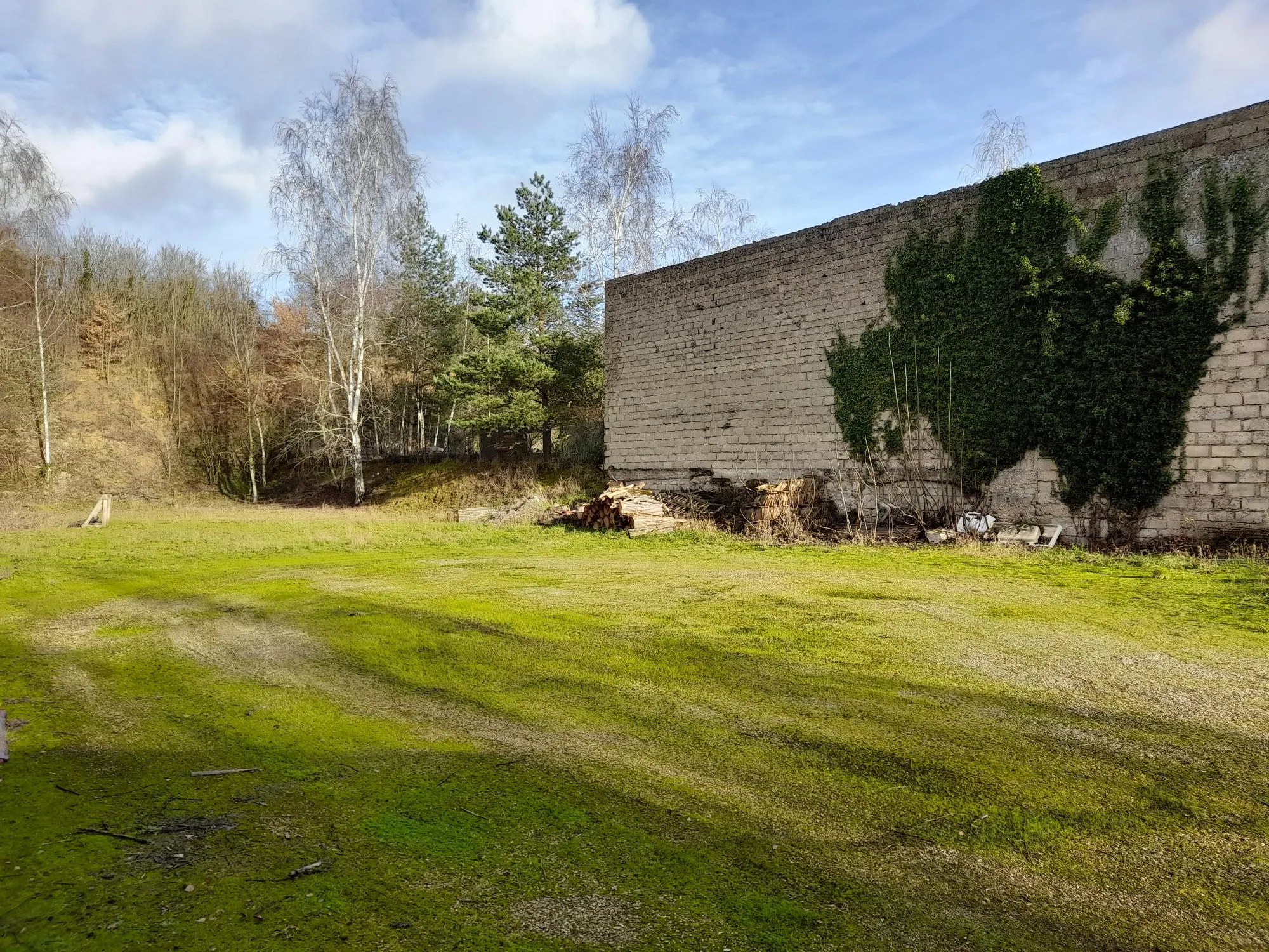 Hangar de 300 m2 et maison de village à Villeneuve la Guyard 